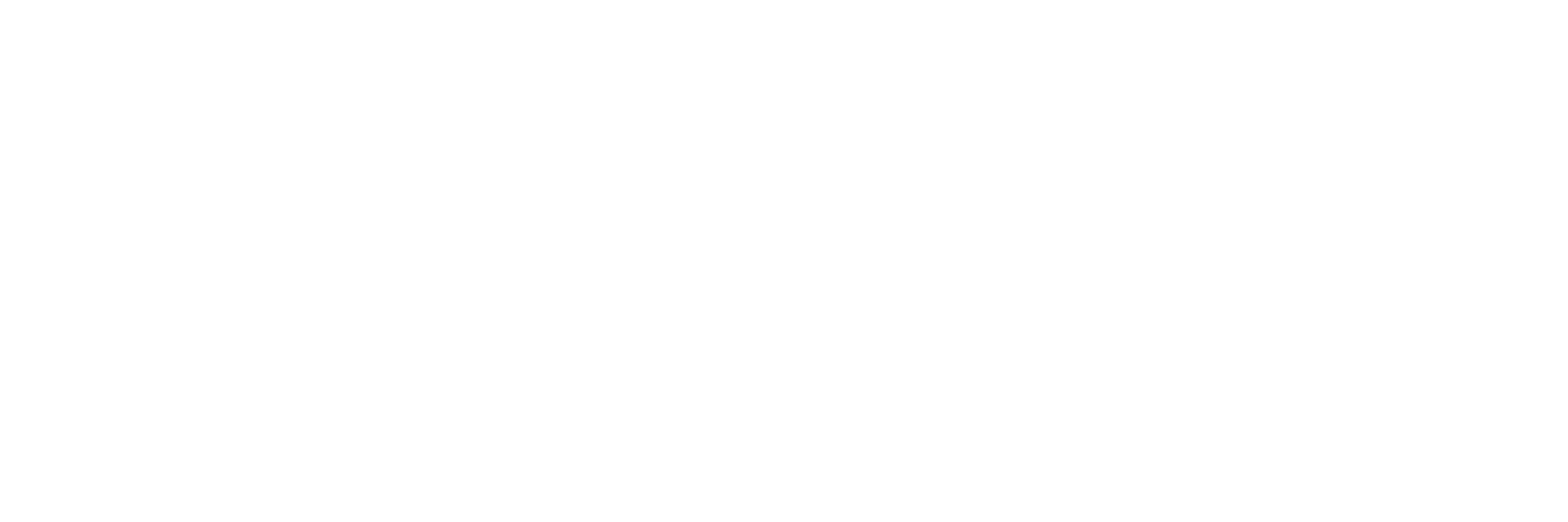 footer-logo (2)